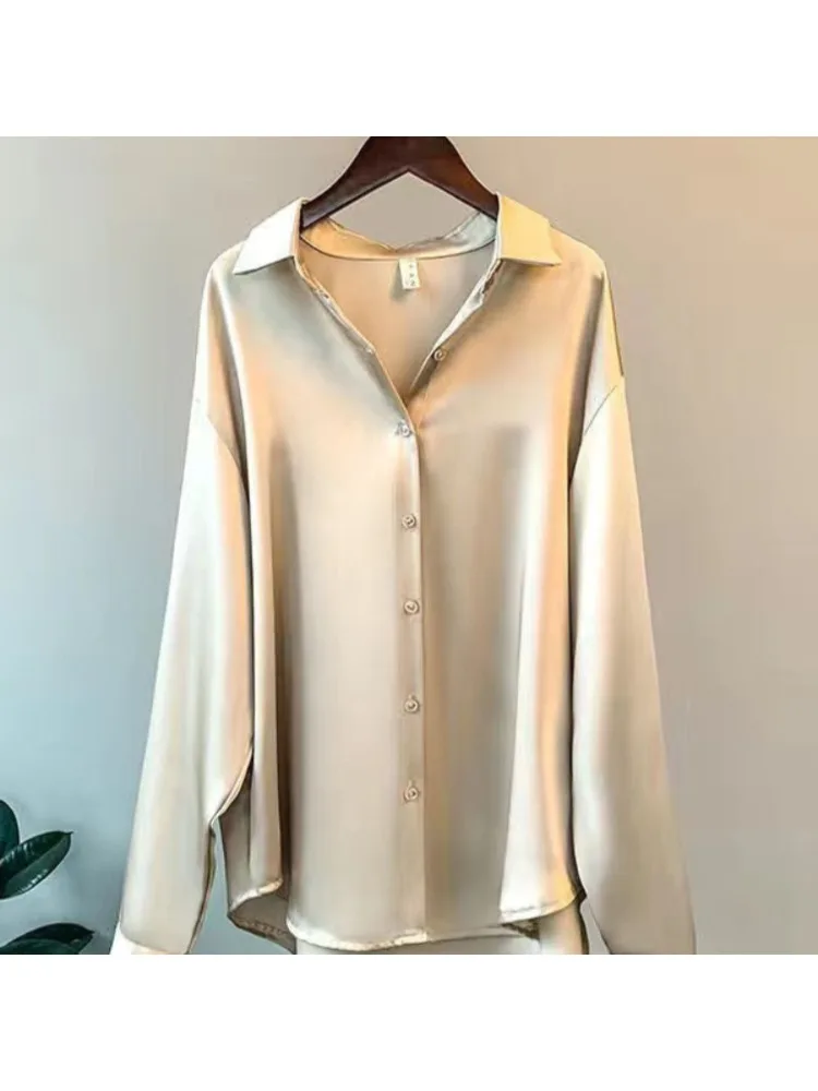 Plus Größe Casual Frauen Seide – Silk Blouse Bewertung und Preis